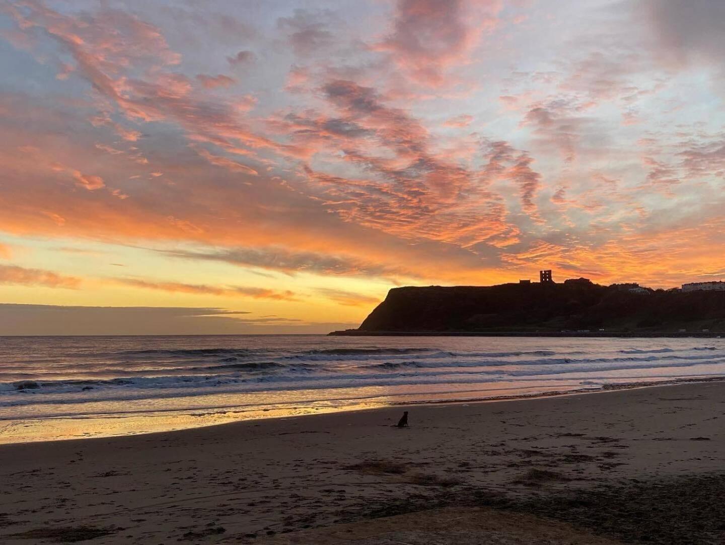 Seascape - Fantastic Location With Sea Views! Scarborough Bagian luar foto